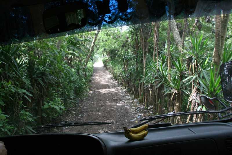 Mexico & Guatemala 2010 - 0799